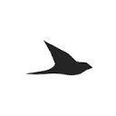 Ekster Logo