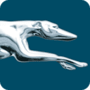 Greyhound Logo