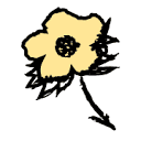 Kotn Logo