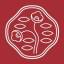 Shiseido Logo